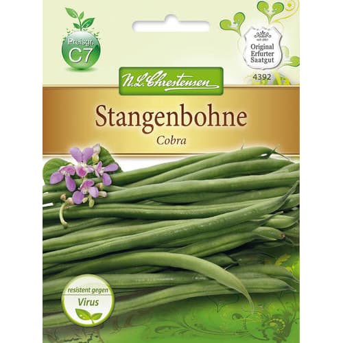 Fižol Cobra slika 1 članek 78833