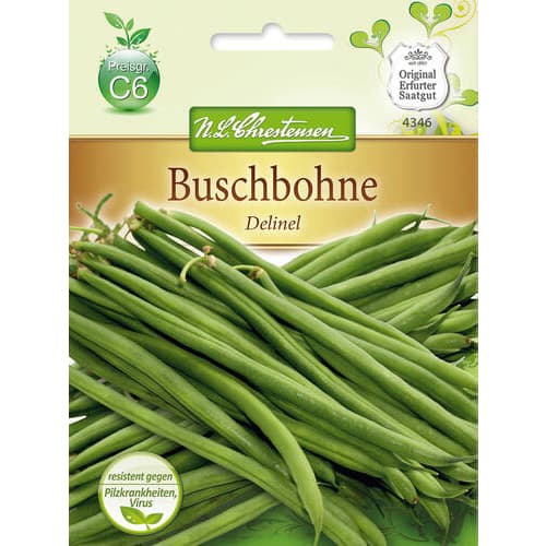 Fižol Delinel slika 1 članek 78816