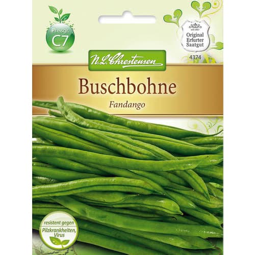 Fižol Fandango slika 1 članek 78826