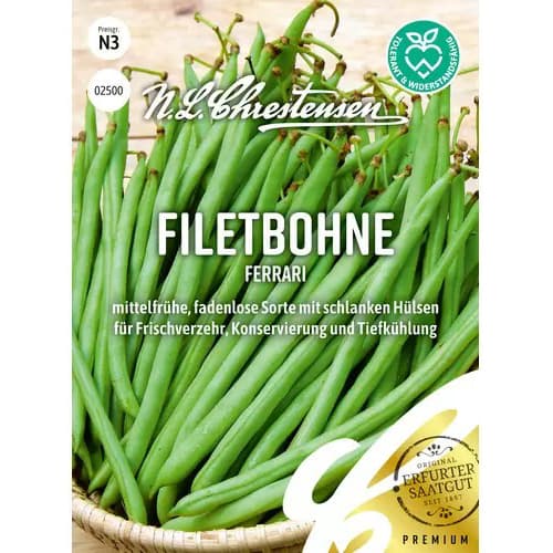 Fižol Ferrari slika 1 članek 87359