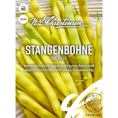 Fižol Gold Elf slika 1 članek 86097