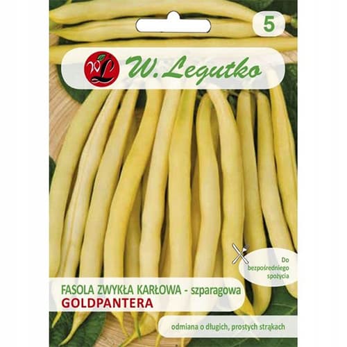 Fižol Goldpantera slika 1 članek 86867