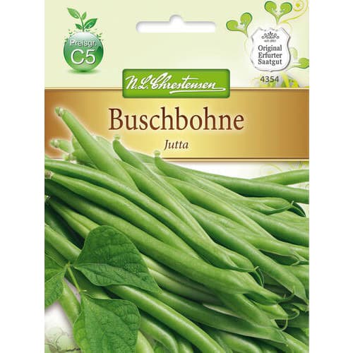 Fižol Jutta slika 1 članek 78819