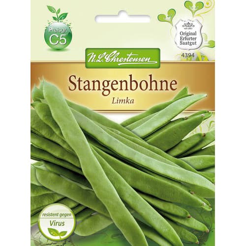 Fižol Limka slika 1 članek 78834