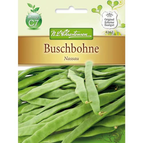 Fižol Nassau slika 1 članek 78822