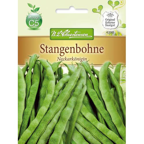 Fižol Neckar Queen slika 1 članek 78836