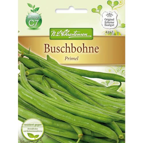 Fižol Primel slika 1 članek 78820