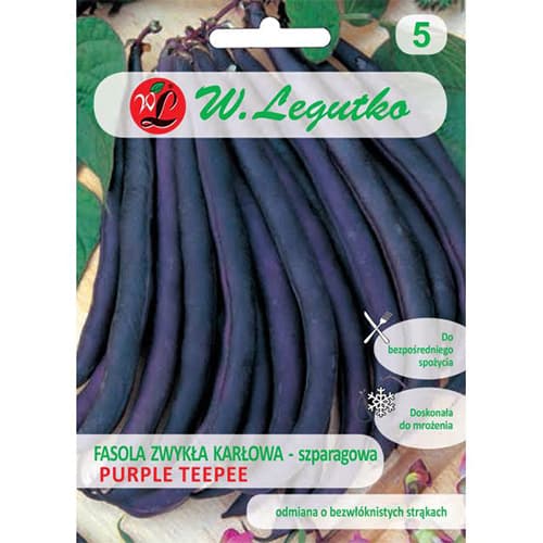 Fižol Purple Teepee Legutko slika 1 članek 69468
