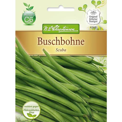 Fižol Scuba slika 1 članek 78825