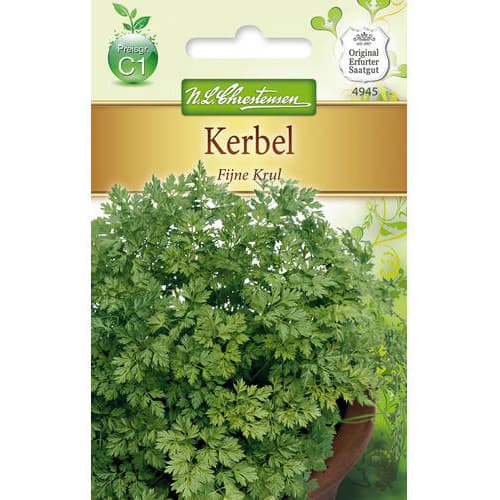 Francoski peteršilj Fijne Krul slika 1 članek 78854