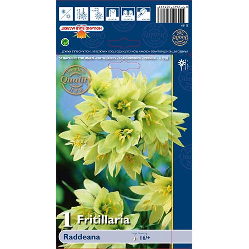 Fritillaria Raddeana slika 1 članek 70244
