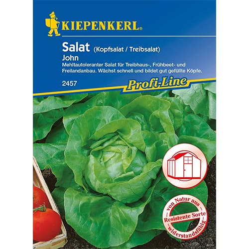 Glavnata solata John slika 1 članek 96626