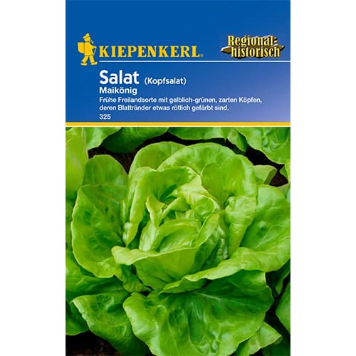 Glavnata solata May King slika 1 članek 86464