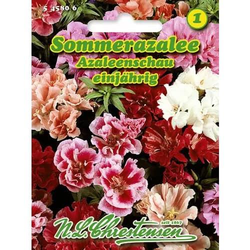 Godecija Azaleea Show slika 1 članek 96424