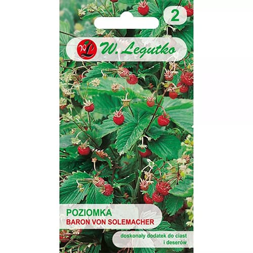 Gozdna jagoda Baron von Solemacher slika 1 članek 69529