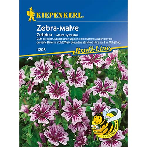 Gozdni slez Zebrina slika 1 članek 86294