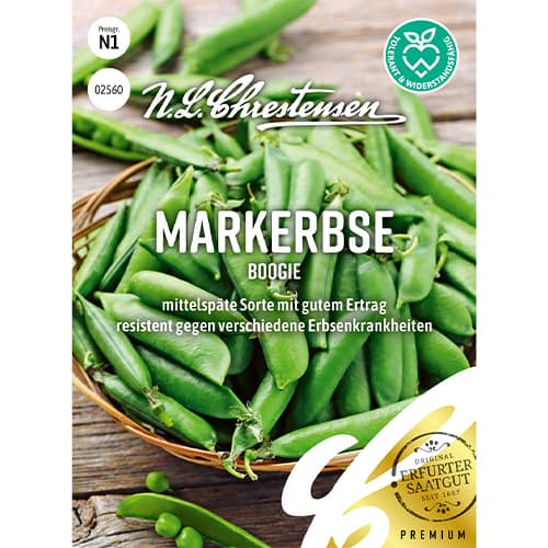 Grah Boogie slika 1 članek 86058