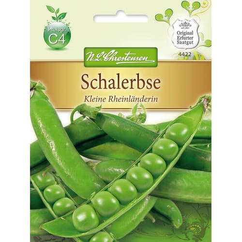 Grah Little Rhinelander slika 1 članek 78842