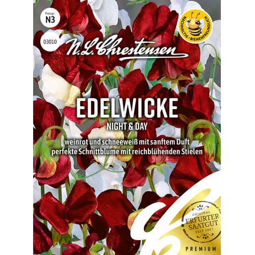 Grahor Night & Day slika 1 članek 86149