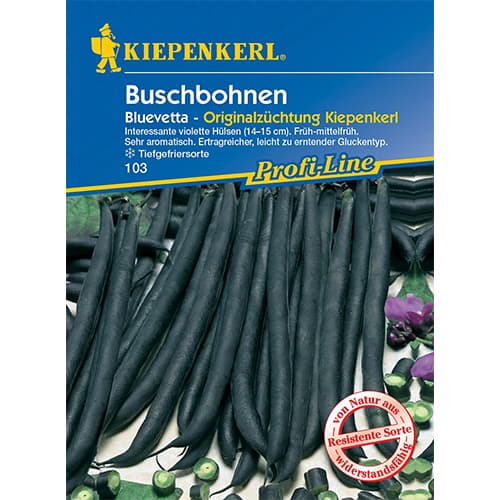 Grmičast fižol Bluevetta slika 1 članek 77467