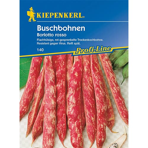 Grmičast fižol Borlotto Rosso slika 1 članek 86398