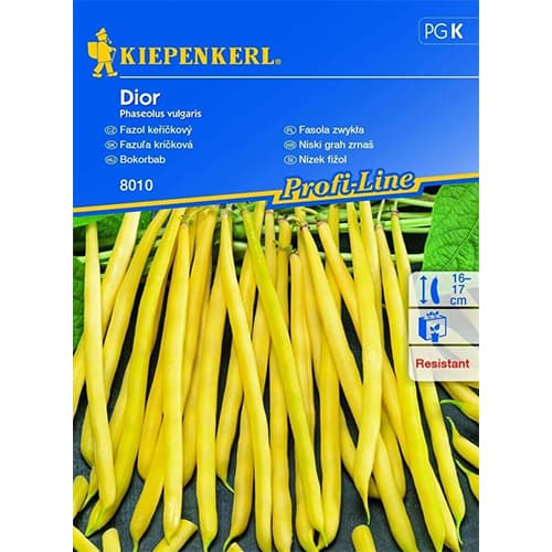 Grmičast fižol Dior slika 1 članek 87275