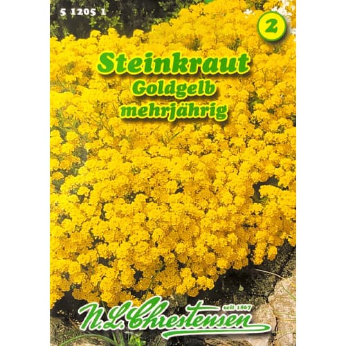 Grobeljnik Gold Cup slika 1 članek 78969