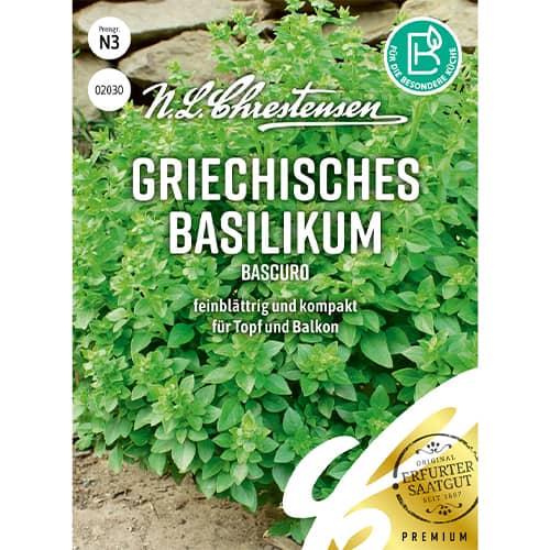 Grška bazilika Bascuro slika 1 članek 86005