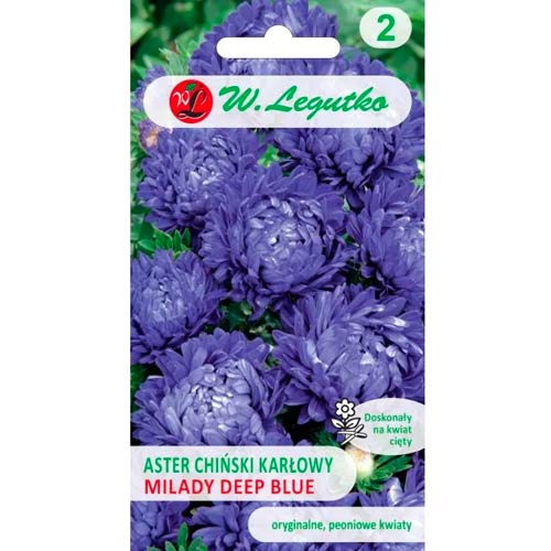 Hvězdnice čínská pritlikava Milady Deep Blue slika 1 članek 69557