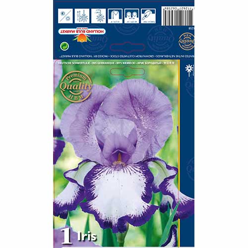 Iris On Edge slika 1 članek 70223