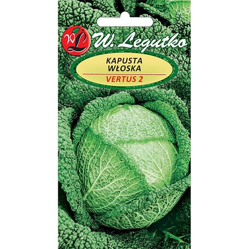 Italjansko zelje Vertus slika 1 članek 78476