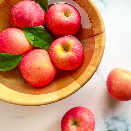 Jablana Fuji, С2 slika 1 članek 7971