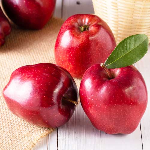 Jablana Gala Lord slika 1 članek 7974