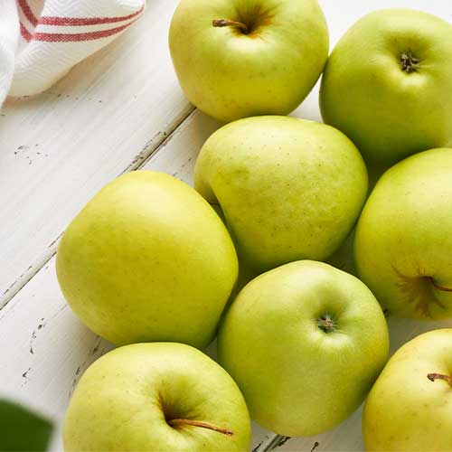 Jablana Golden Super, С2 slika 1 članek 7972