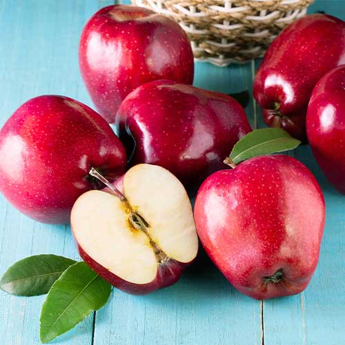 Jablana Red Shar, С2 slika 1 članek 7977