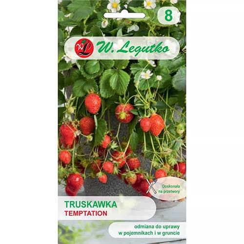 Jagoda Temptation slika 1 članek 69548