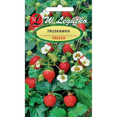 Jagoda Tresca slika 1 članek 86914