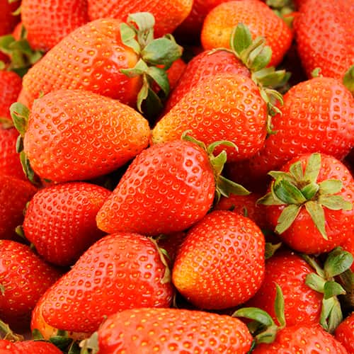 Jagode Albion slika 1 članek 5392