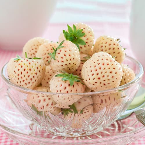 Jagode Ananas slika 1 članek 5192