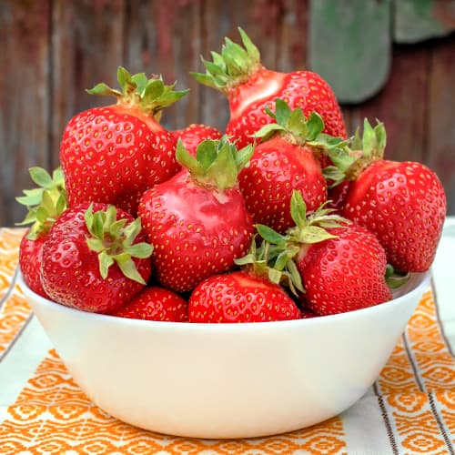 Jagode Asia slika 1 članek 5394