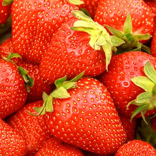 Jagode Elianny slika 1 članek 5398