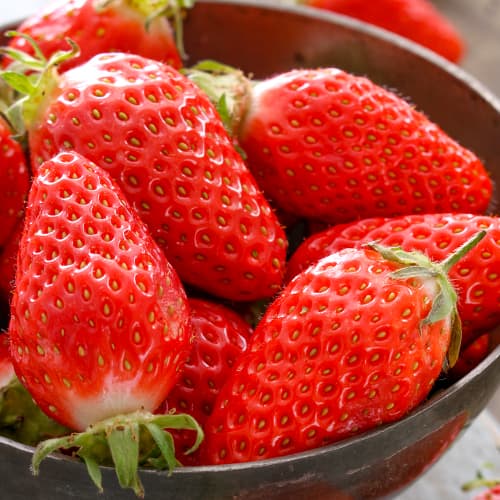 Jagode Gariguette slika 1 članek 5197