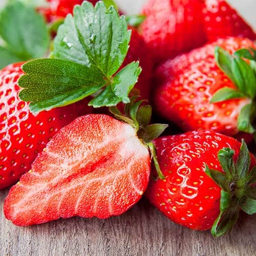 Jagode Monterey slika 1 članek 5407