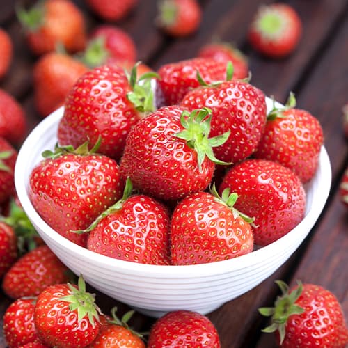 Jagode Ostara slika 1 članek 5408