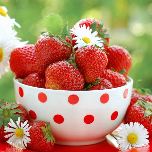 Jagode Vima Zanta slika 1 članek 5415