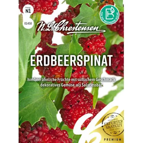 Jagodna špinača slika 1 članek 96472