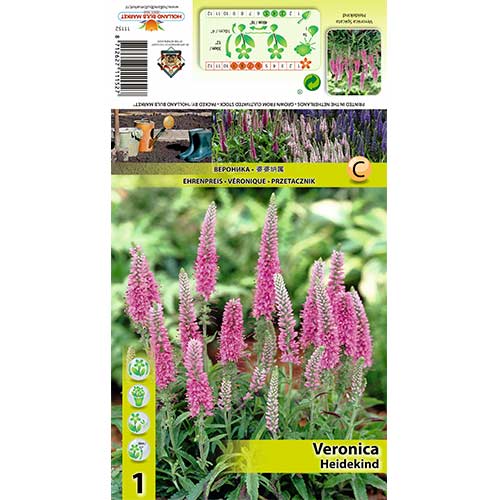 Jetičnik Heidekind slika 1 članek 70454