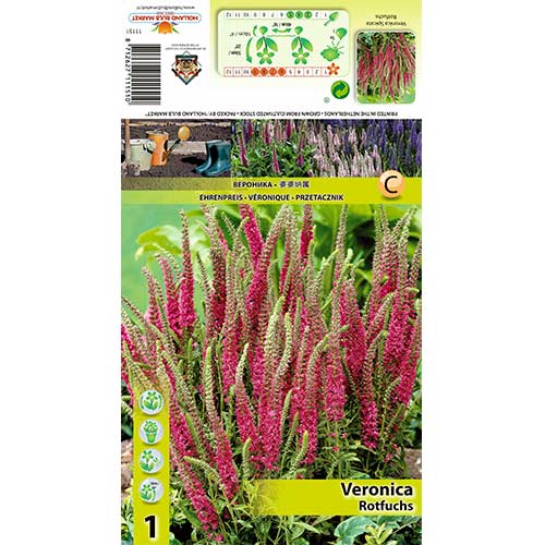 Jetičnik Rotfuchs slika 1 članek 70455