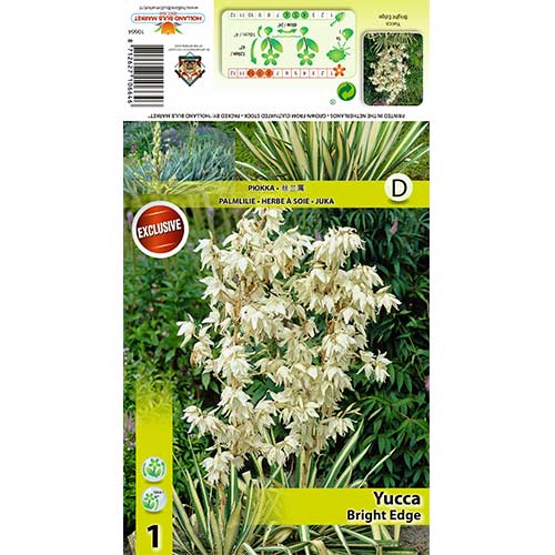 Juka Bright Edge slika 1 članek 70456