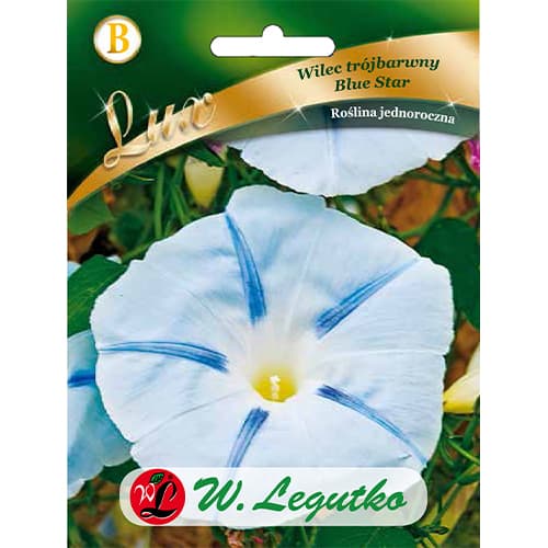 Jutranja slava (Ipomea) Blue Star Tricolor slika 1 članek 86759